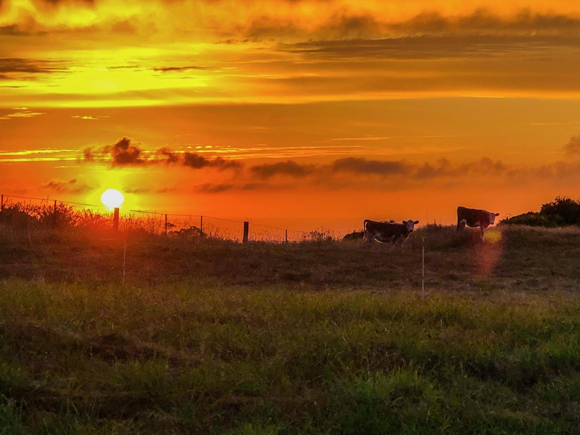 White Caps Kaikoura Farmstay Dış mekan fotoğraf